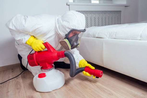 Flea Control Services in Boonsboro, MD